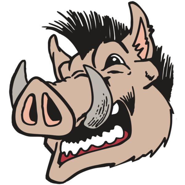 AR RAZORBACK 18 RC Thumbnail