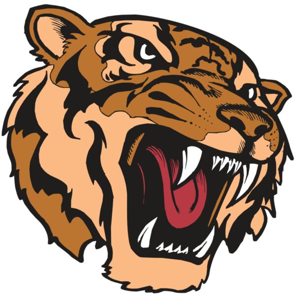 BAW TIGER 07 RC Thumbnail