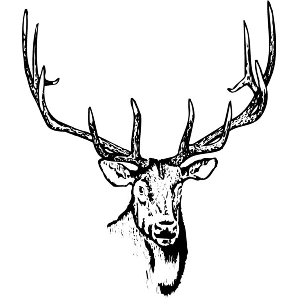 DEER015 Thumbnail