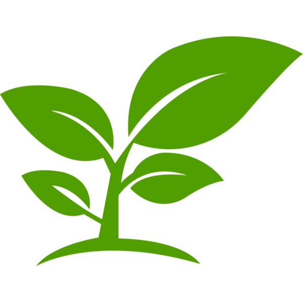 12 Leaves Thumbnail