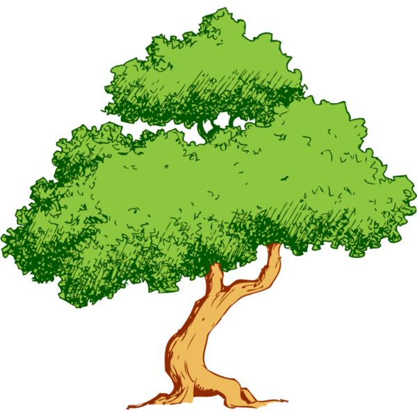 Tree 42 Thumbnail
