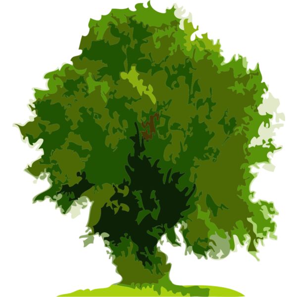 Tree 22 Thumbnail