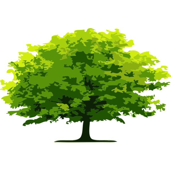 Tree 19 Thumbnail