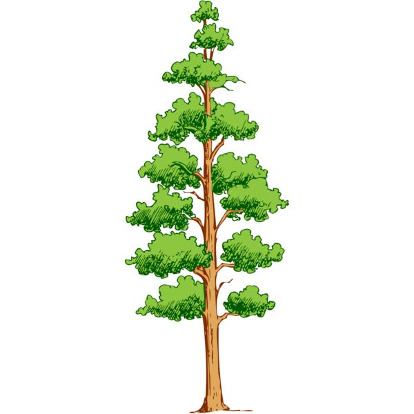 Tree 38 Thumbnail