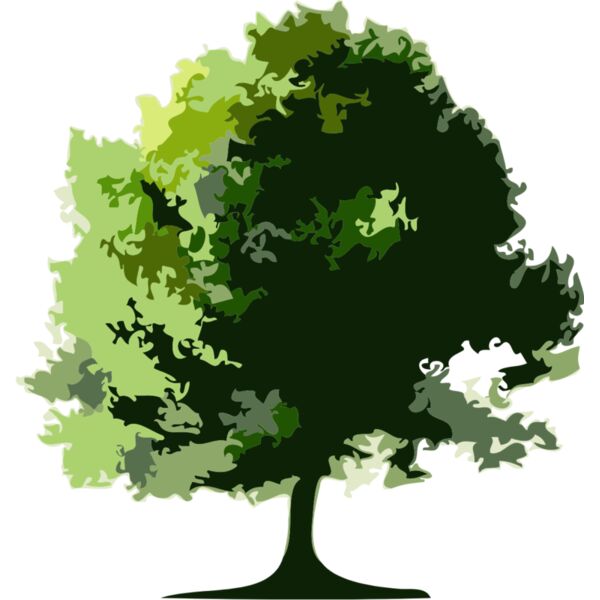 Tree 20 Thumbnail