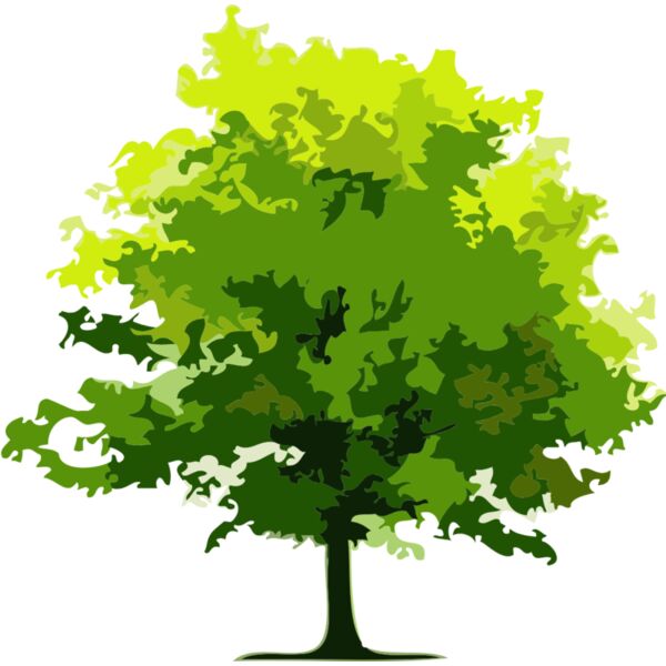 Tree 13 Thumbnail