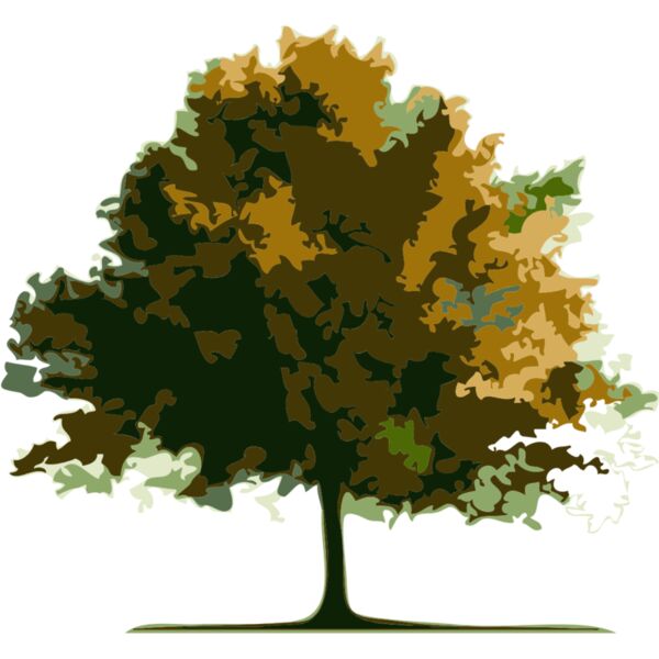 Tree 10 Thumbnail