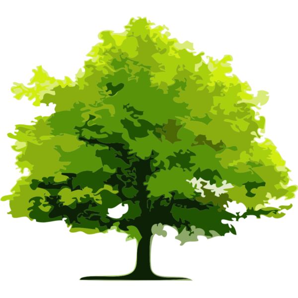 Tree 9 Thumbnail