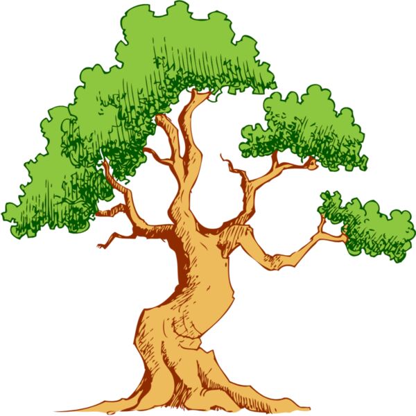 Tree 44 Thumbnail