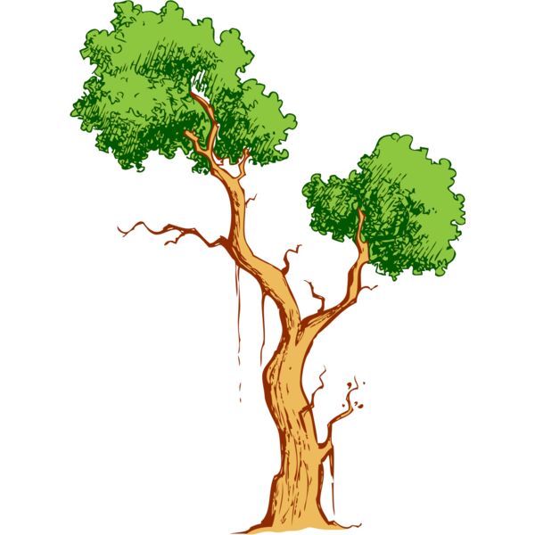 Tree 43 Thumbnail