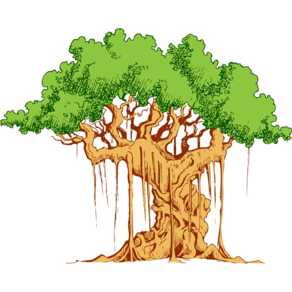Tree 40 Thumbnail