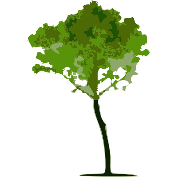 Tree 3 Thumbnail