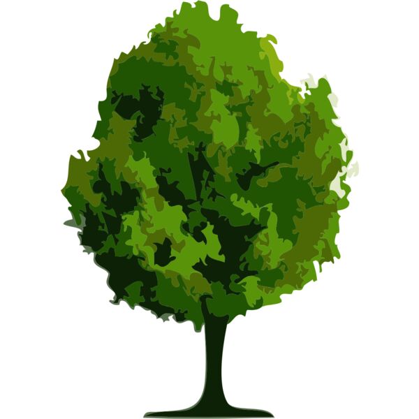 Tree 27 Thumbnail