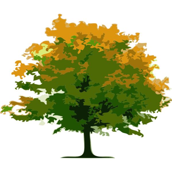 Tree 5 Thumbnail