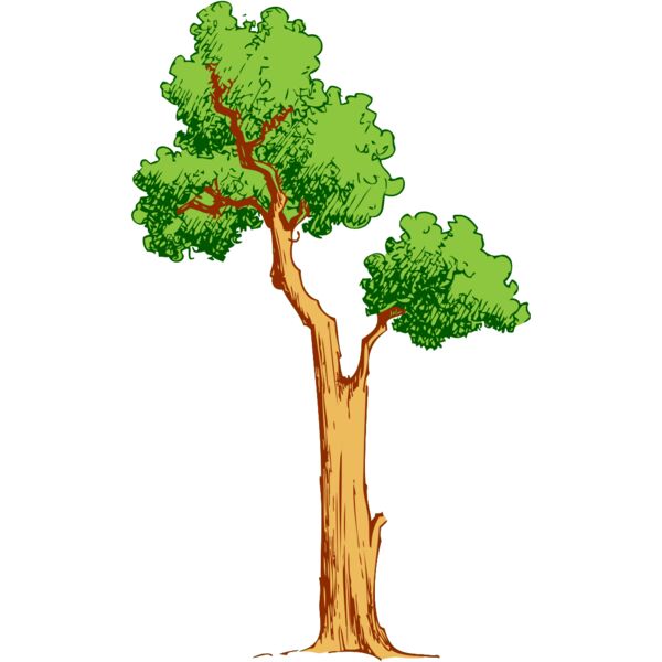 Tree 41 Thumbnail