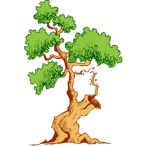Tree 39 Thumbnail