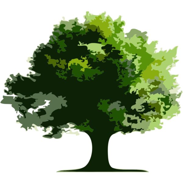 Tree 21 Thumbnail