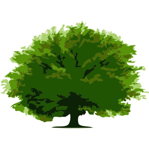 Tree 16 Thumbnail