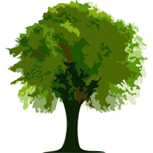 Tree 1 Thumbnail
