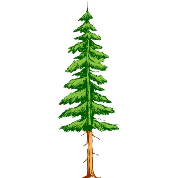 Tree 37 Thumbnail