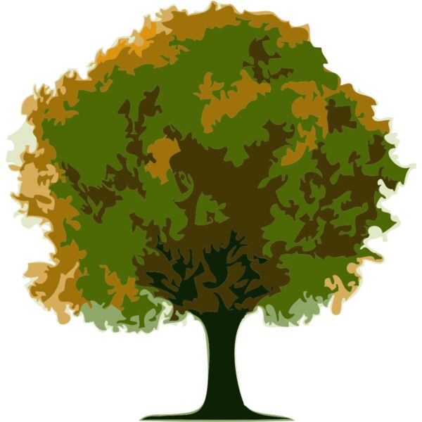 Tree 17 Thumbnail
